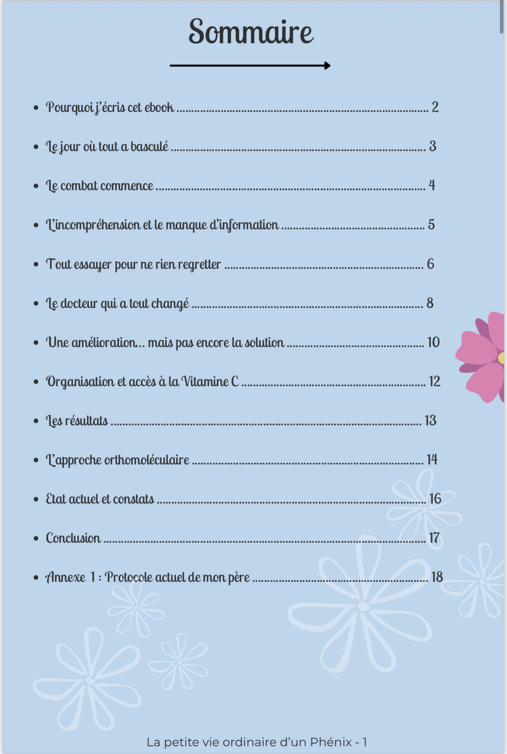 EBOOK - FEBEN & IVER - Du refus de la chimio à un protocole innovant.